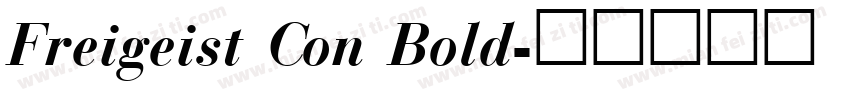 Freigeist Con Bold字体转换